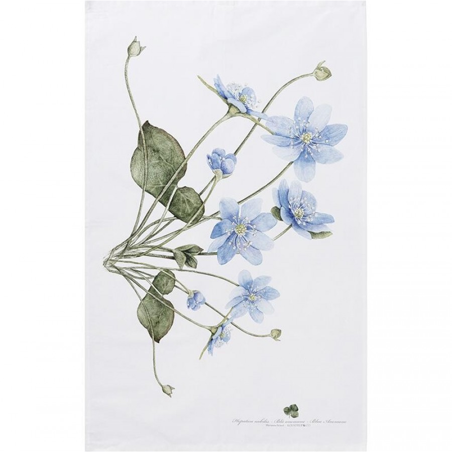 Øko viskestykke 48x70 Blå anemone