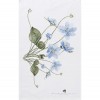 Øko viskestykke 48x70 Blå anemone